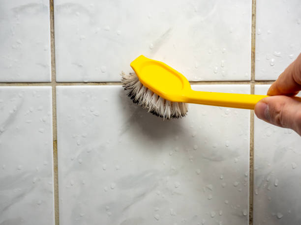 Best Certified Mold Removal  in Hertford, NC