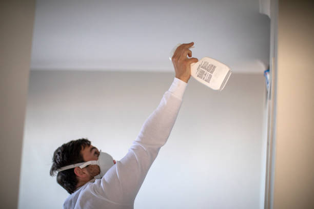 Best Toxic Mold Removal  in Hertford, NC