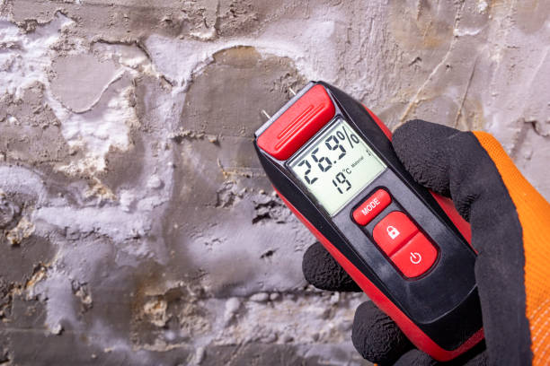 Crawl Space Mold Removal in Hertford, NC