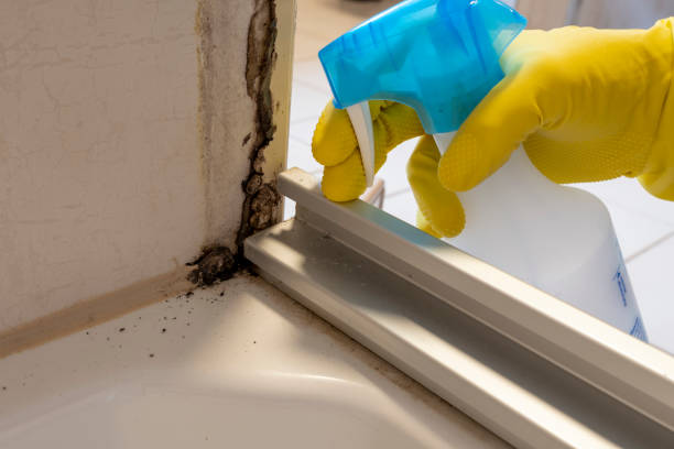 Best Crawl Space Mold Removal  in Hertford, NC
