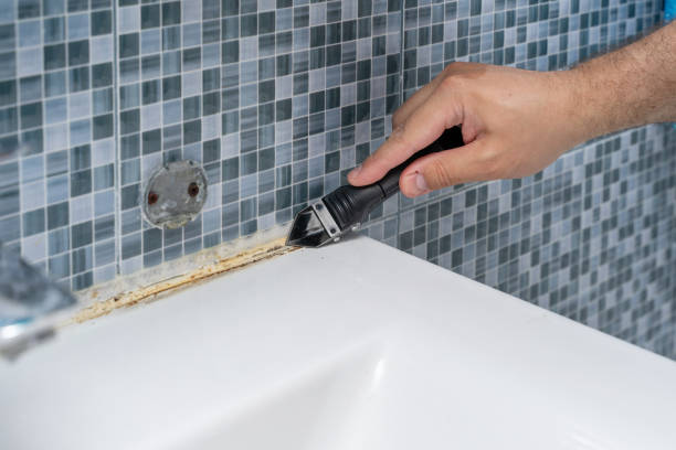 Best Mold Testing and Removal  in Hertford, NC
